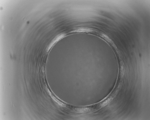 X0000056001425200508261738