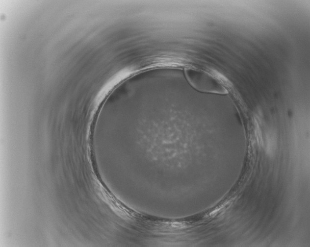 X0000056001427200508261738