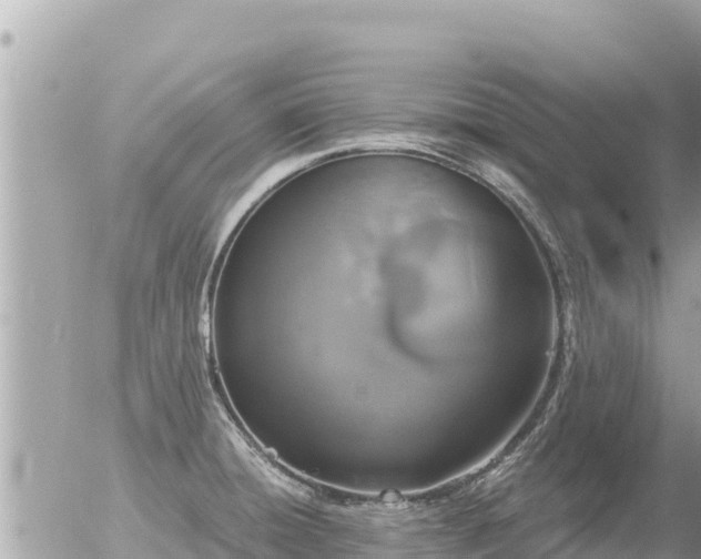 X0000056001428200508261738