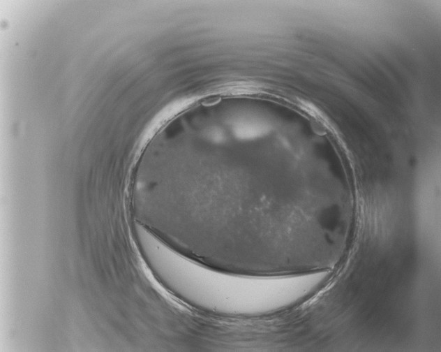 X0000056001429200508261738