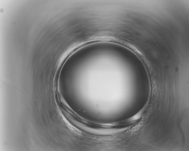 X0000056001430200508261738