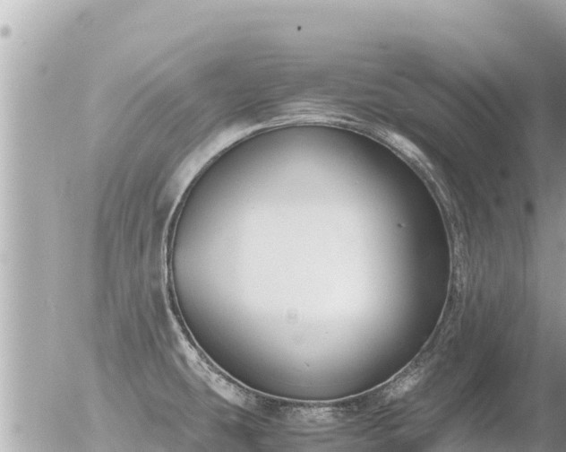 X0000056001431200508261738