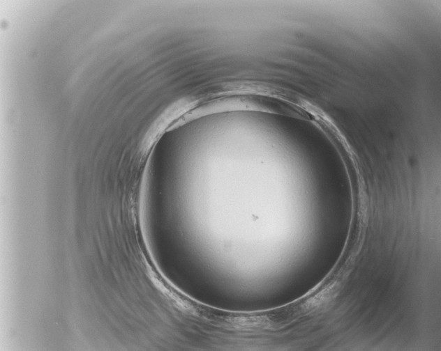 X0000056001433200508261738