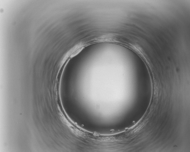 X0000056001434200508261738