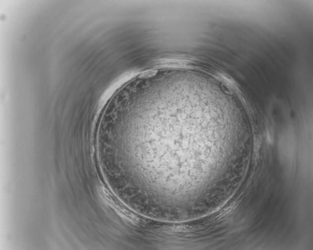 X0000056001435200508261738