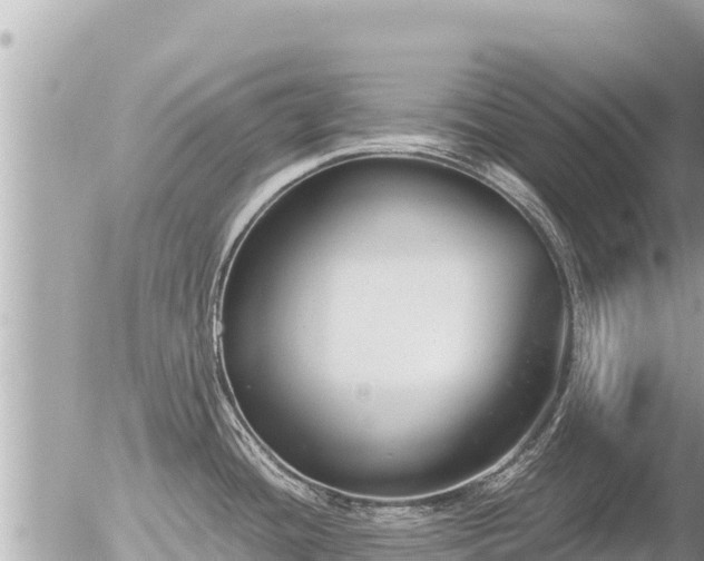 X0000056001436200508261738