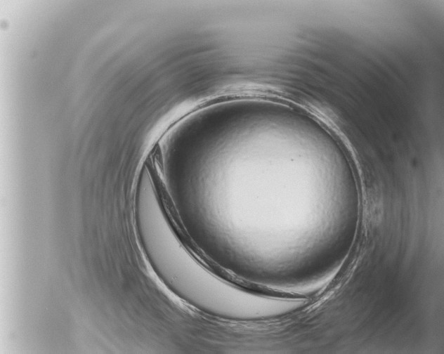 X0000056001437200508261738