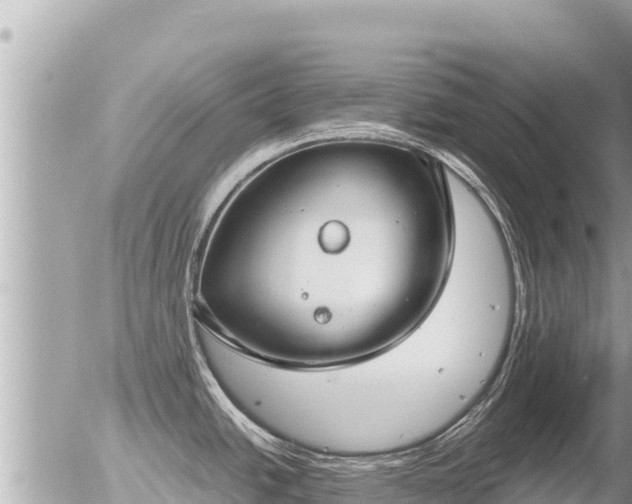 X0000056001438200508261738