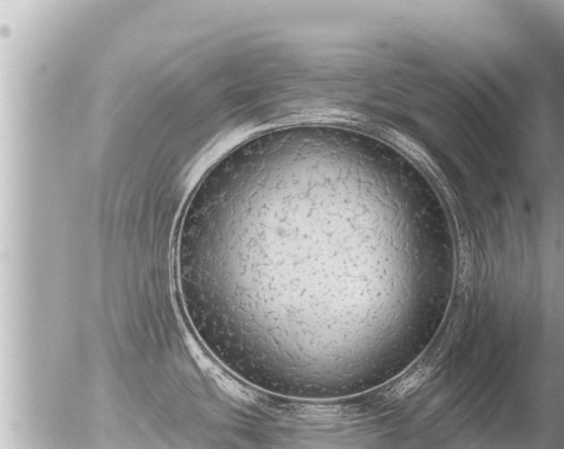 X0000056001439200508261738