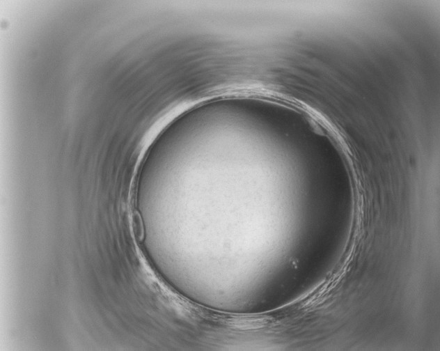 X0000056001440200508261738