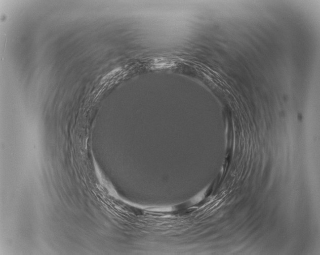 X0000056001441200508261738