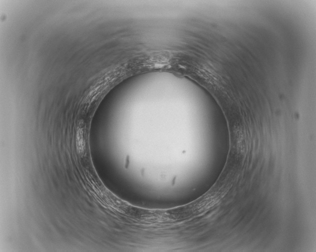 X0000056001442200508261738