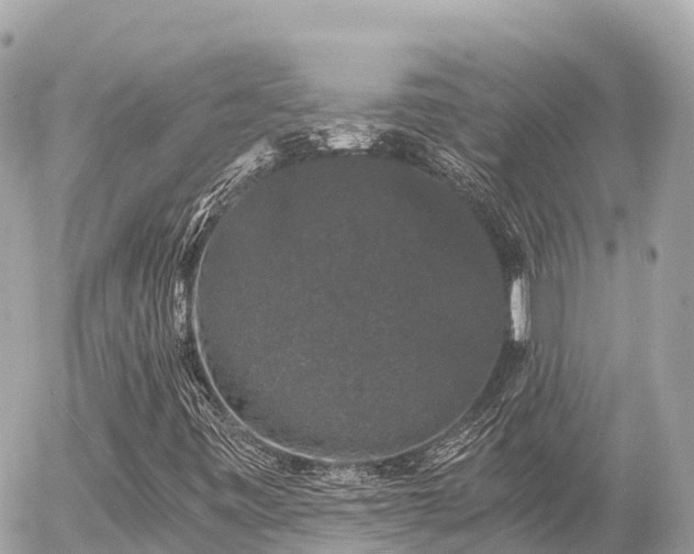 X0000056001443200508261738