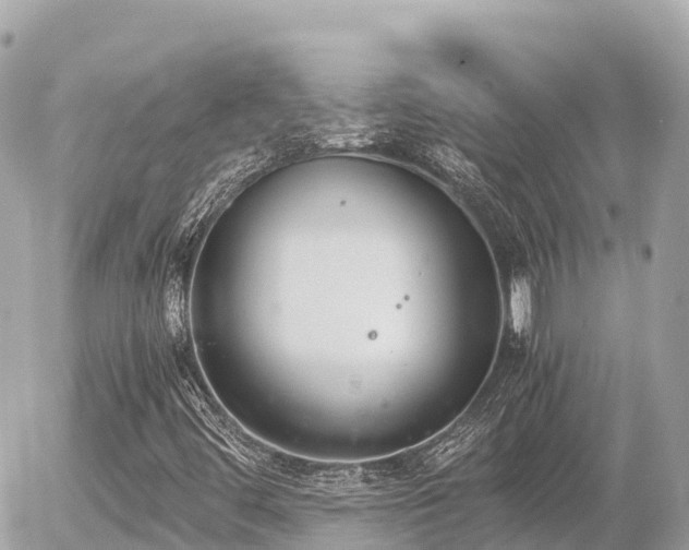 X0000056001444200508261738