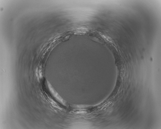 X0000056001445200508261738