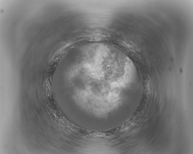 X0000056001446200508261738