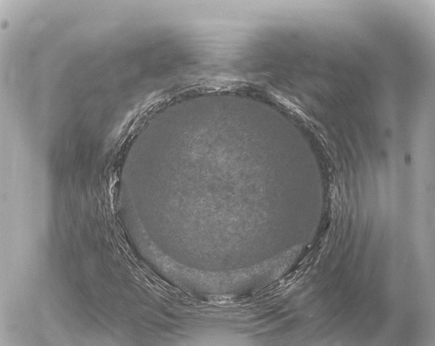 X0000056001447200508261738