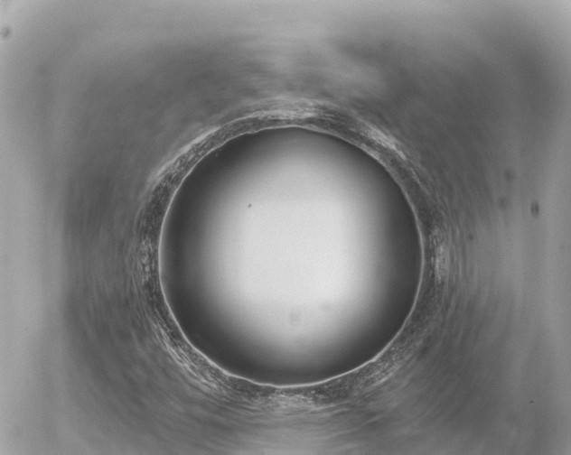 X0000056001448200508261738