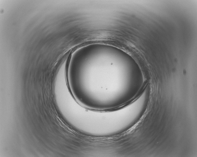 X0000056001449200508261738