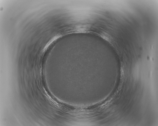 X0000056001450200508261738