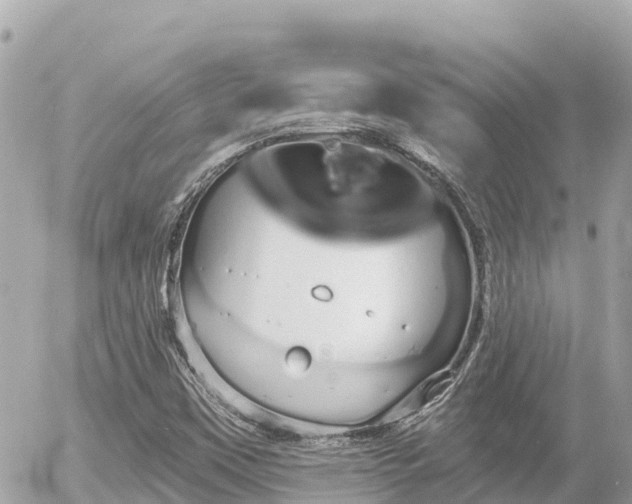 X0000056001451200508261738