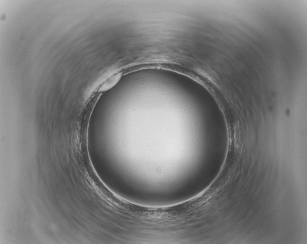 X0000056001452200508261737