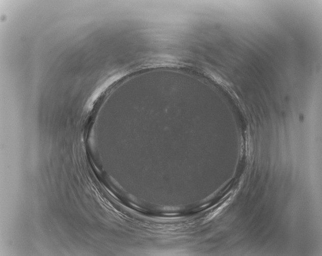 X0000056001453200508261737