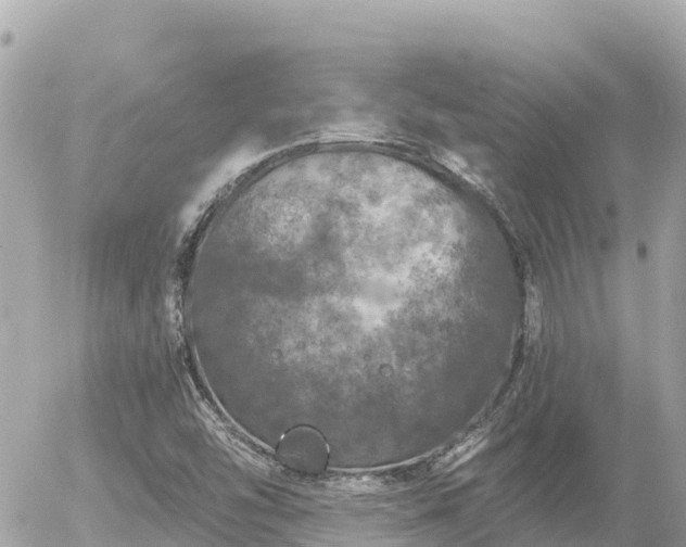 X0000056001454200508261737