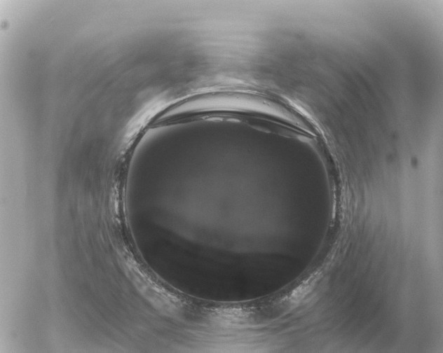 X0000056001455200508261737