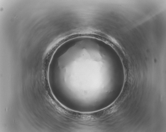 X0000056001456200508261737