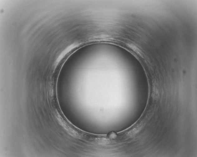 X0000056001458200508261737