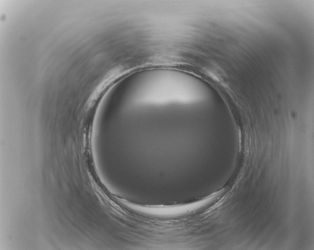 X0000056001459200508261737