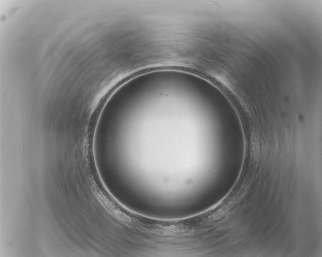 X0000056001460200508261737