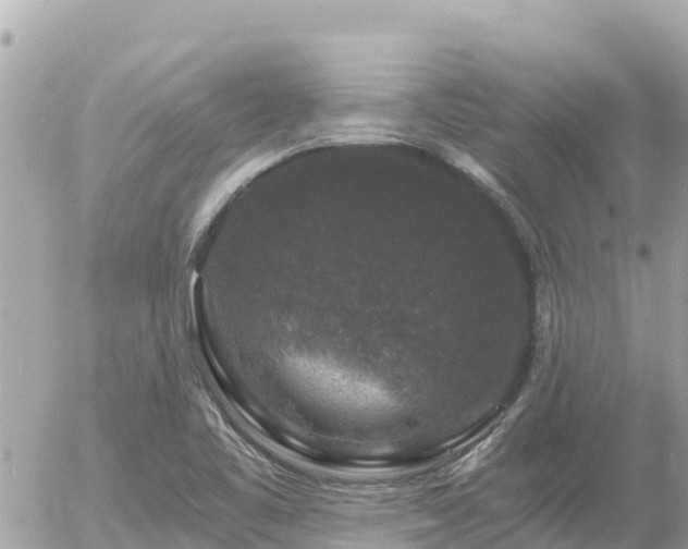 X0000056001461200508261737