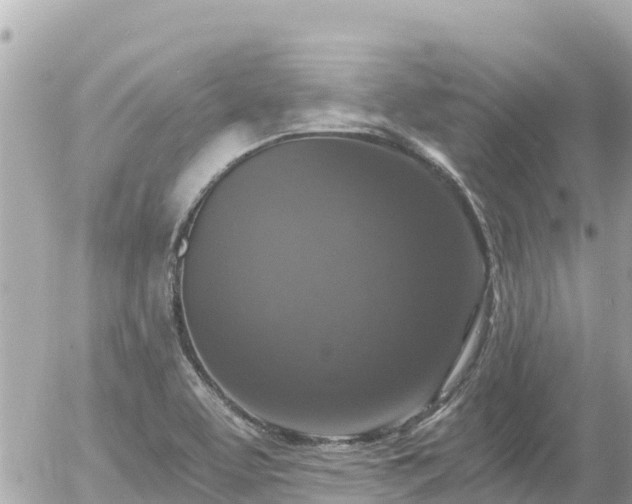 X0000056001463200508261737