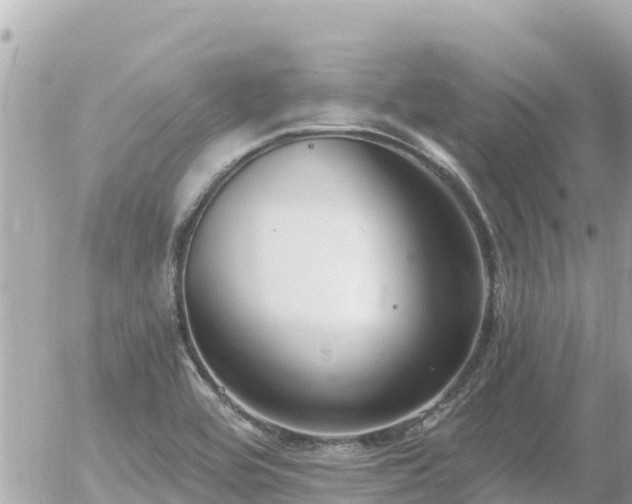 X0000056001464200508261737