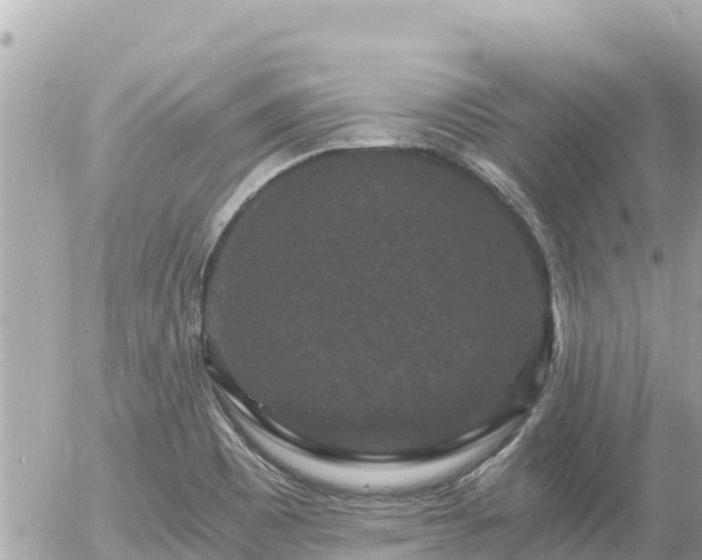 X0000056001465200508261737