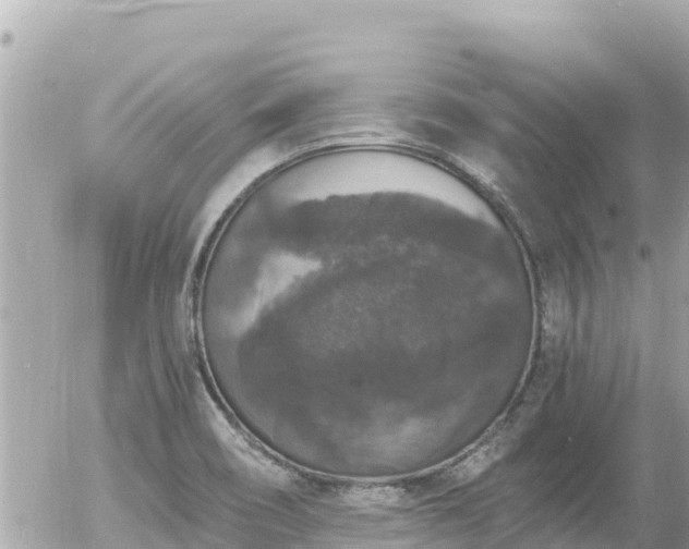 X0000056001466200508261737