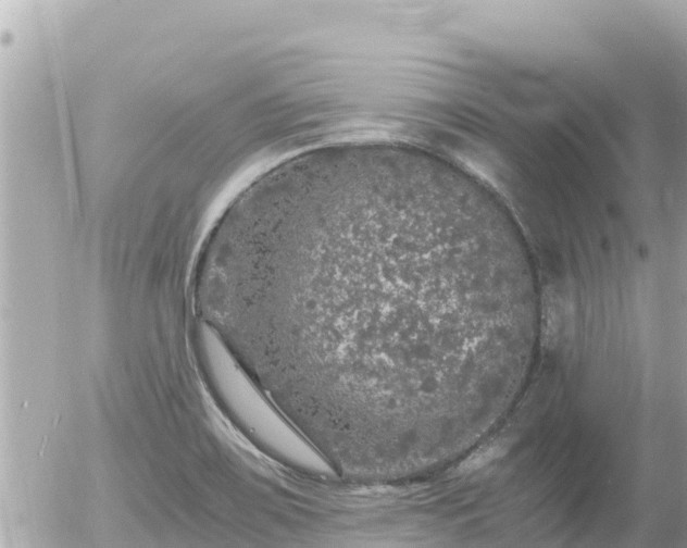 X0000056001467200508261737