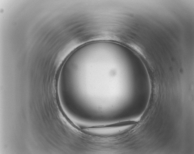 X0000056001468200508261737