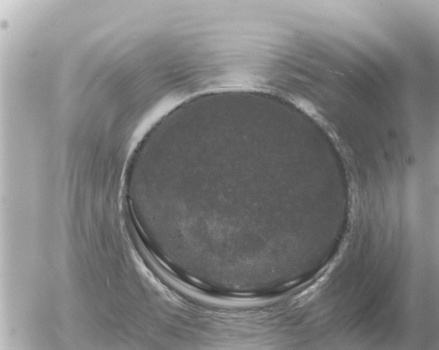 X0000056001469200508261737