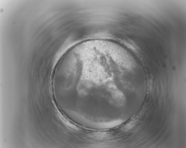 X0000056001470200508261737