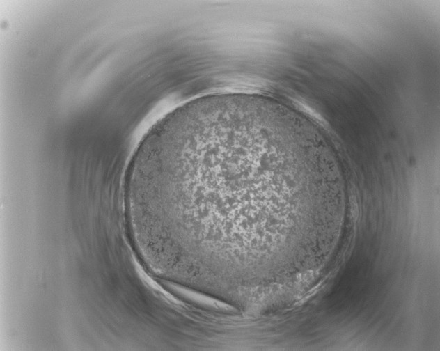 X0000056001471200508261737