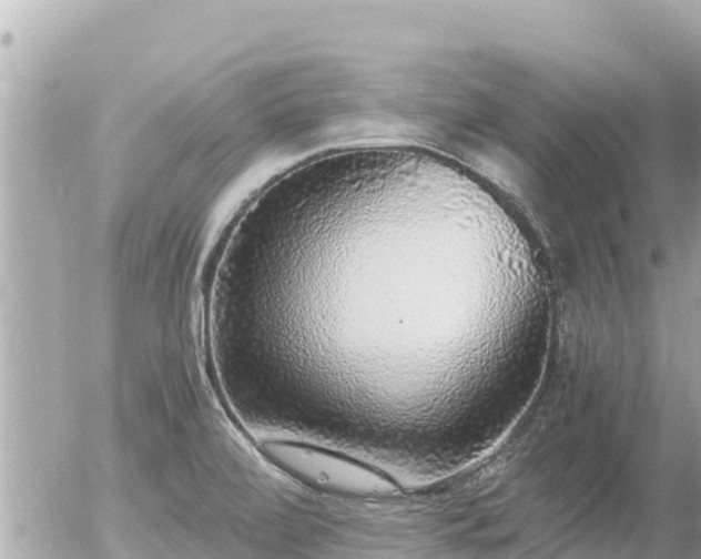 X0000056001472200508261737