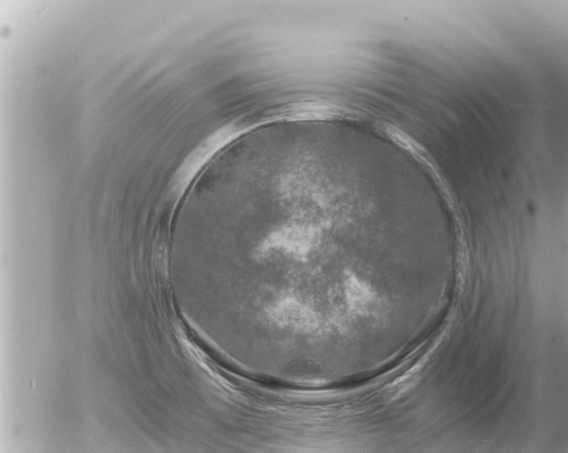 X0000056001473200508261737