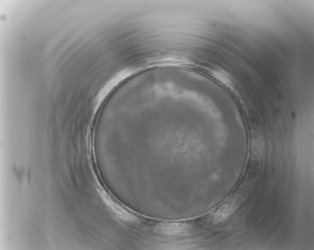 X0000056001474200508261737