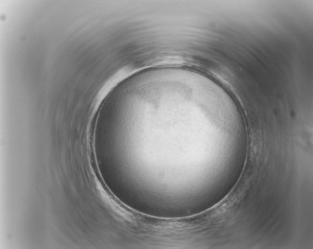 X0000056001475200508261737