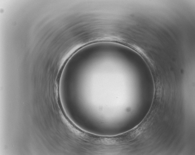 X0000056001476200508261737