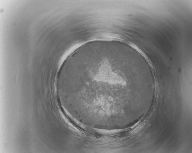 X0000056001477200508261737