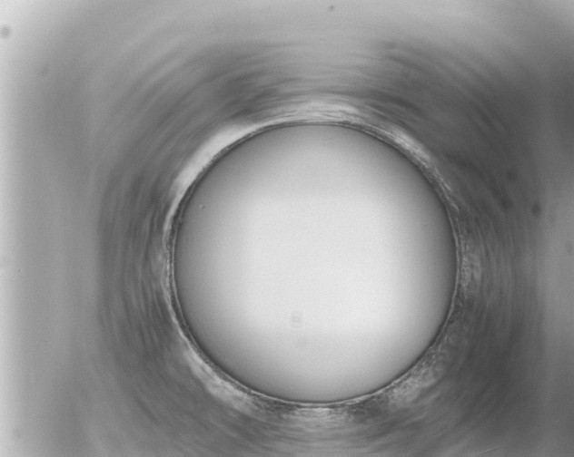 X0000056001478200508261737